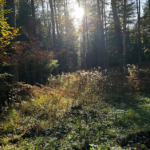 Das Wald-Info-Mobil der Jägerschaft hat die Wassermühle besucht