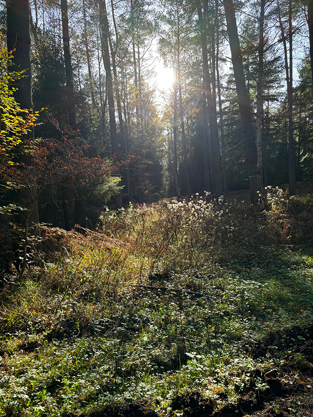 Du betrachtest gerade Das Wald-Info-Mobil der Jägerschaft hat die Wassermühle besucht